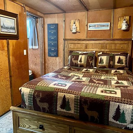 Mt Rainier Little Green Cabin On Big Creek! Ashford Exterior foto
