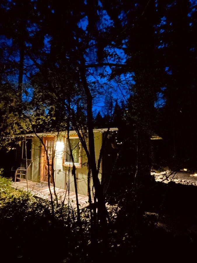 Mt Rainier Little Green Cabin On Big Creek! Ashford Exterior foto