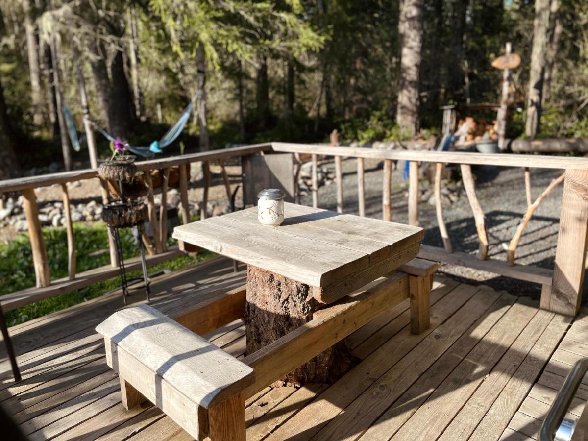Mt Rainier Little Green Cabin On Big Creek! Ashford Exterior foto