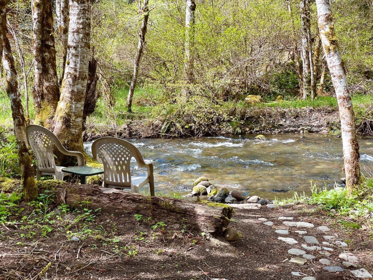 Mt Rainier Little Green Cabin On Big Creek! Ashford Exterior foto