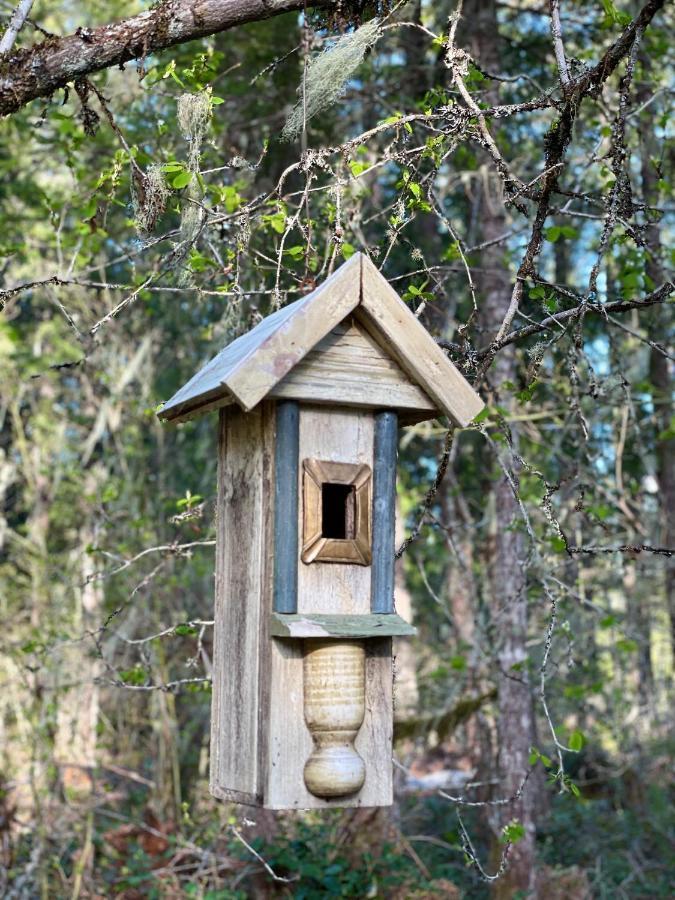 Mt Rainier Little Green Cabin On Big Creek! Ashford Exterior foto