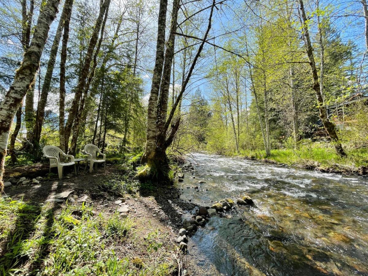 Mt Rainier Little Green Cabin On Big Creek! Ashford Exterior foto