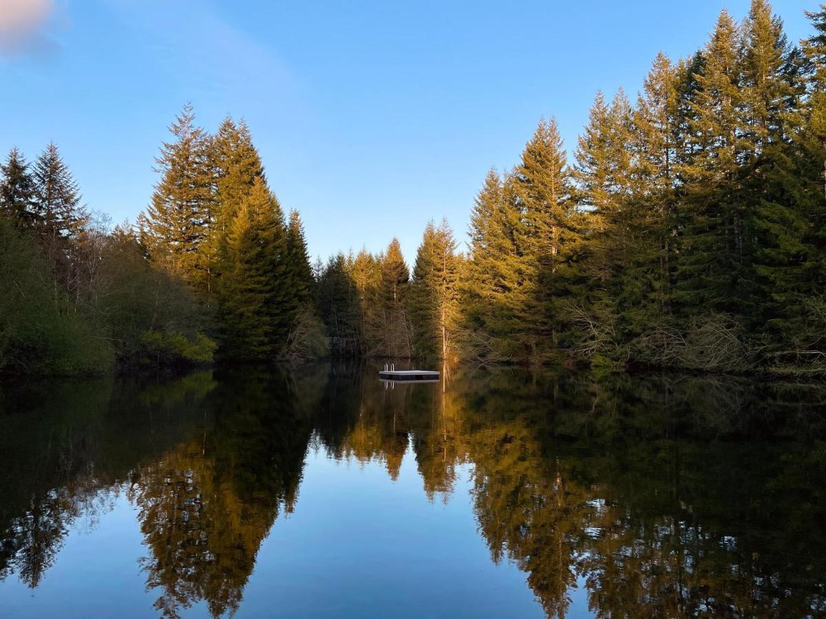 Mt Rainier Little Green Cabin On Big Creek! Ashford Exterior foto
