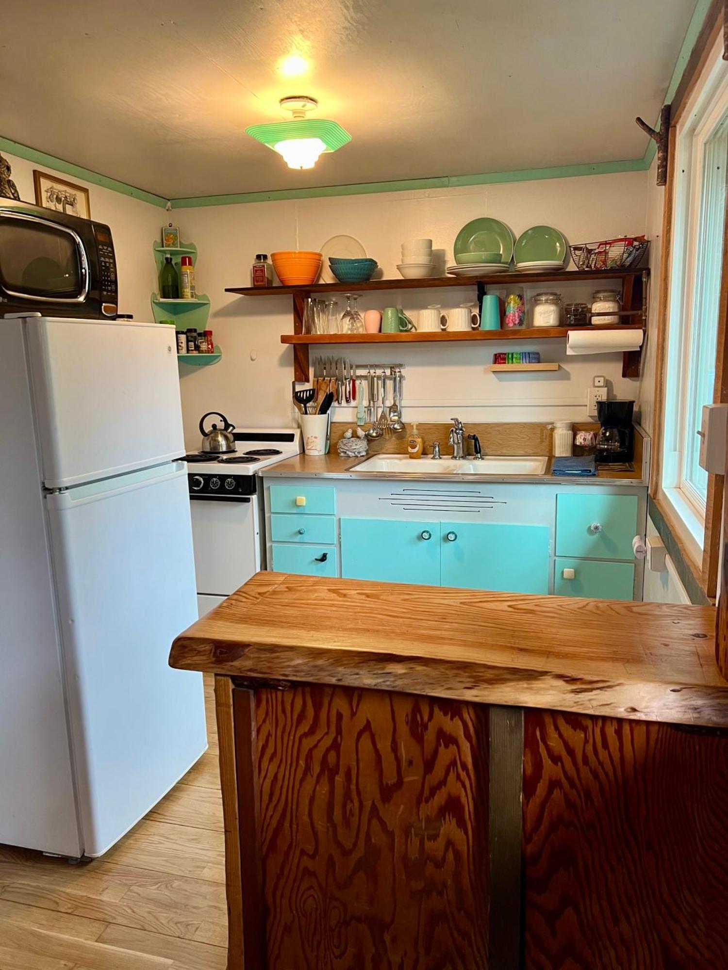 Mt Rainier Little Green Cabin On Big Creek! Ashford Exterior foto